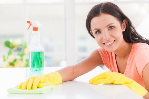 Professional one off cleaning for a refreshed home interior