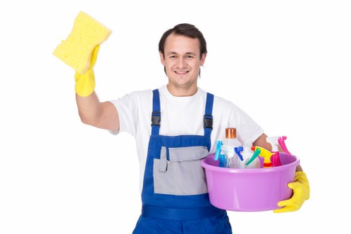 Professional carpet cleaning in a bright living room