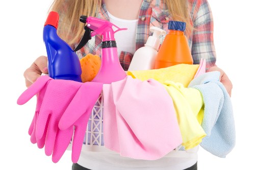 Domestic cleaning tools arranged for a clean home
