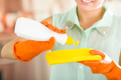 Professional deep cleaning tools used for detailed cleaning in homes and workplaces