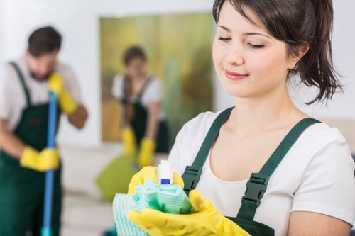 Deep rug cleaning methods for stain removal